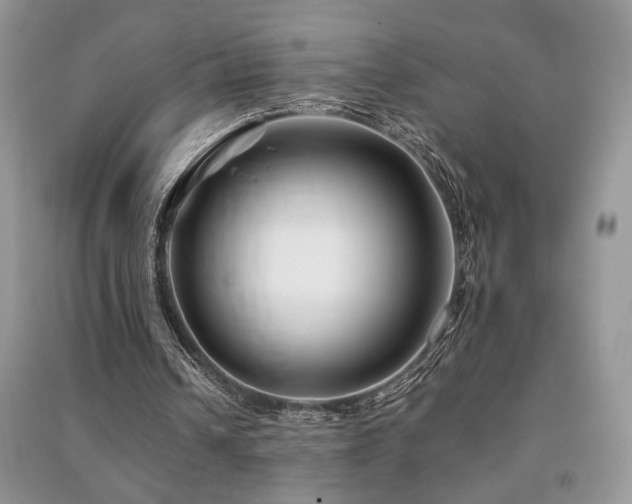 X0000091220242200708091414