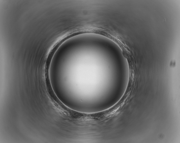 X0000091220244200708091414