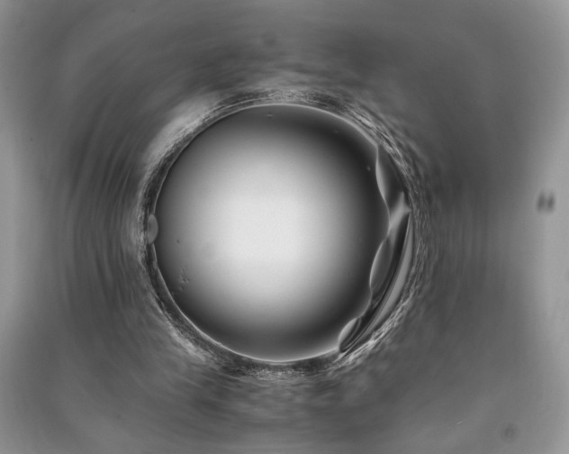 X0000091220245200708091414