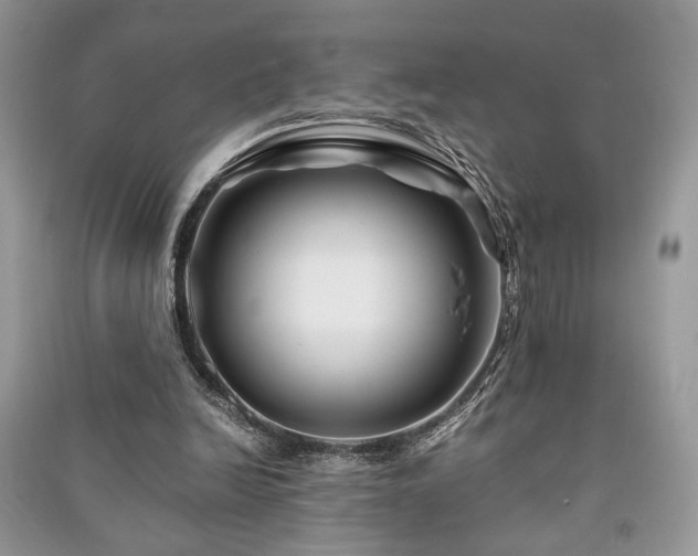 X0000091220246200708091414