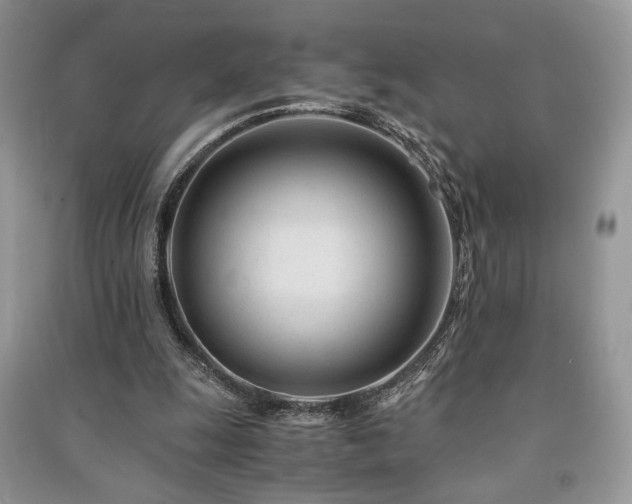 X0000091220247200708091414