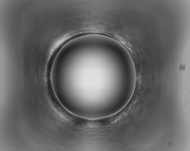 X0000091220248200708091414