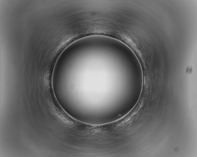 X0000091220249200708091414