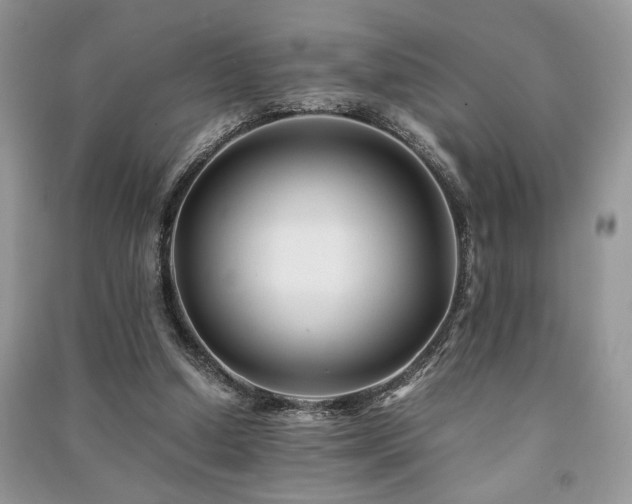 X0000091220250200708091414