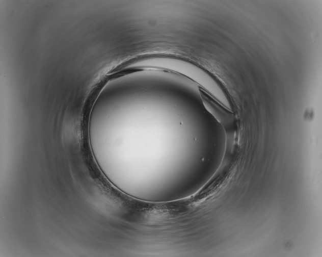 X0000091220252200708091414