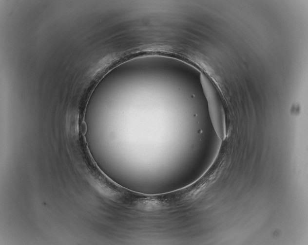 X0000091220253200708091414