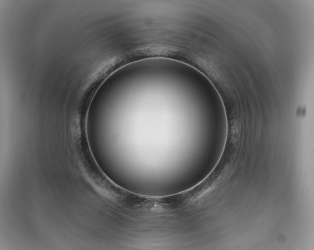 X0000091220254200708091415