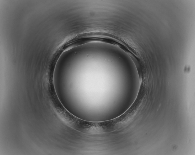 X0000091220256200708091415