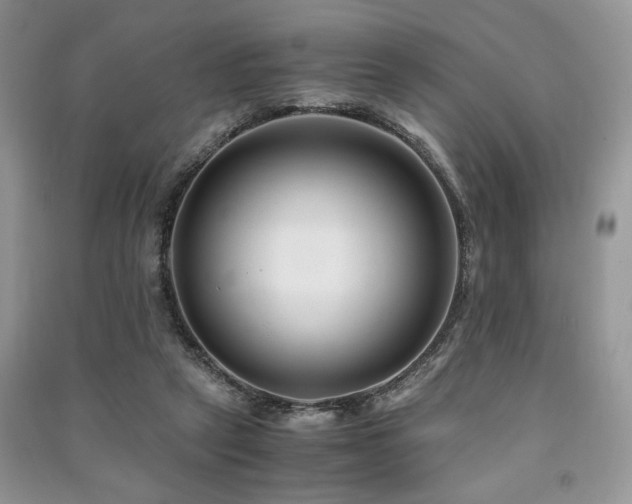 X0000091220257200708091415