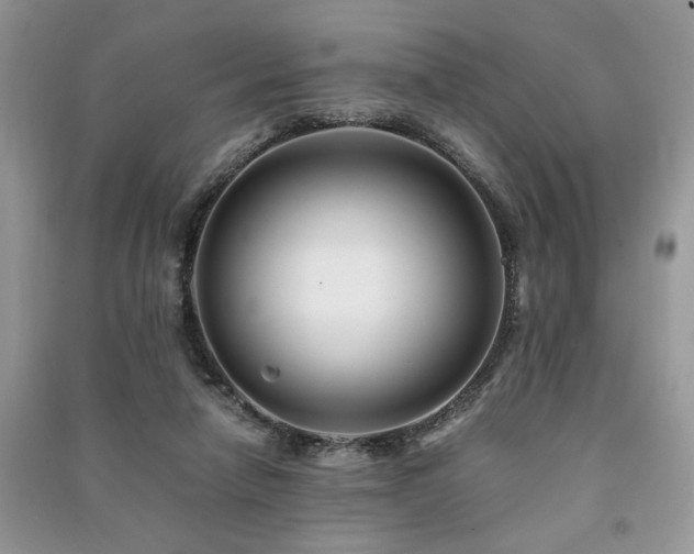 X0000091220258200708091415