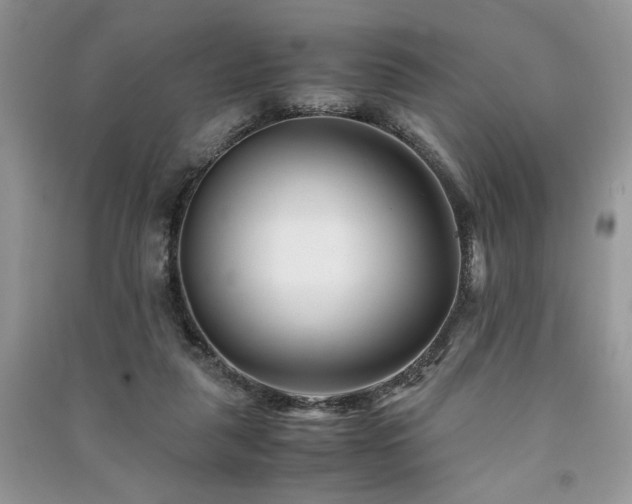 X0000091220259200708091415