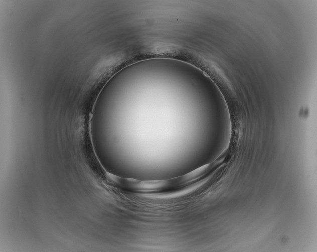 X0000091220260200708091415