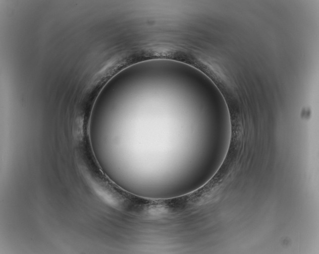 X0000091220262200708091415