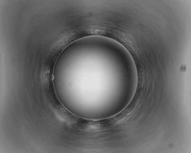 X0000091220263200708091415