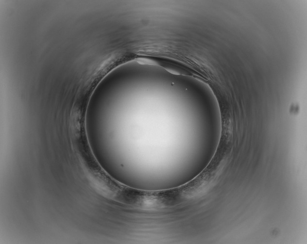 X0000091220264200708091415