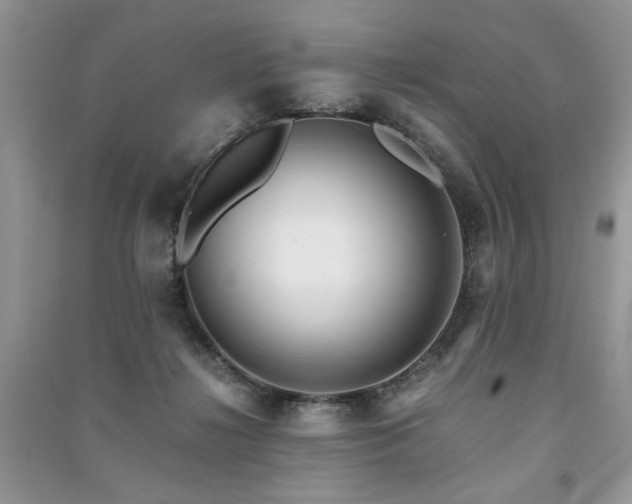 X0000091220268200708091415