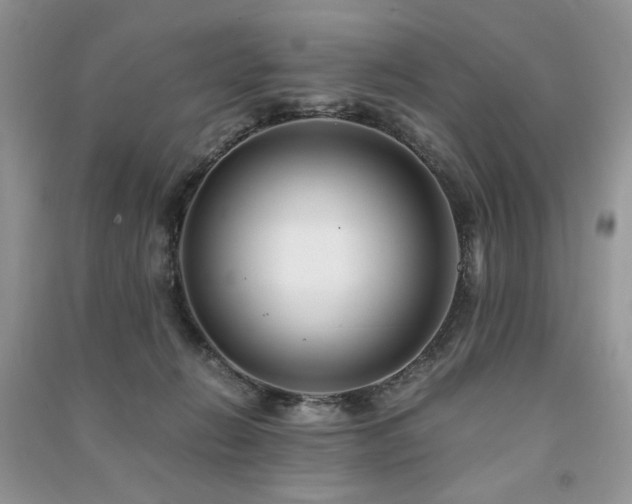 X0000091220270200708091415