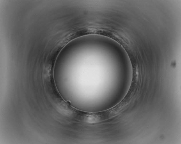 X0000091220275200708091415