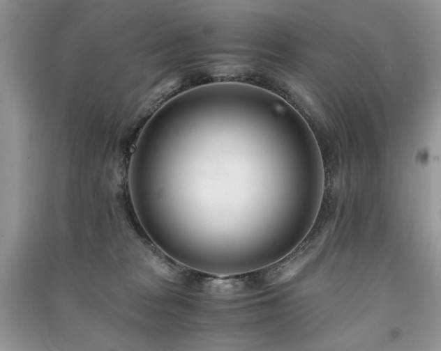 X0000091220277200708091415