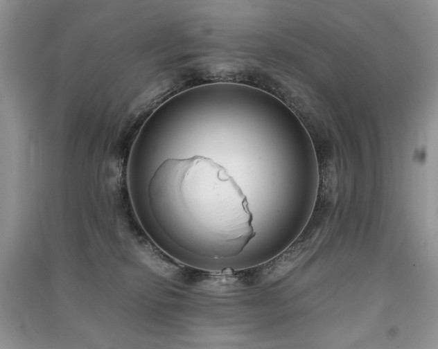 X0000091220278200708091415