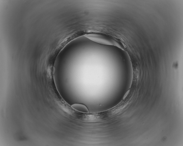 X0000091220286200708091415