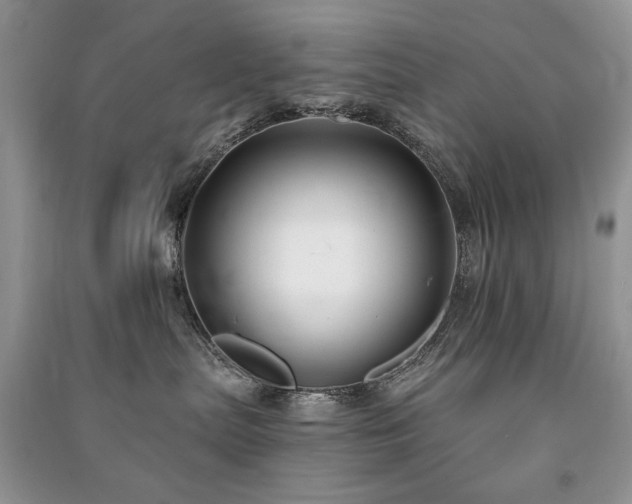 X0000091220287200708091415