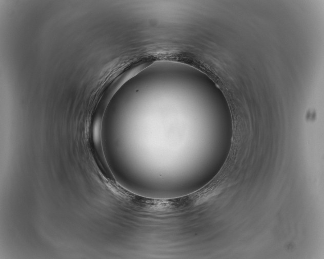 X0000091220288200708091415