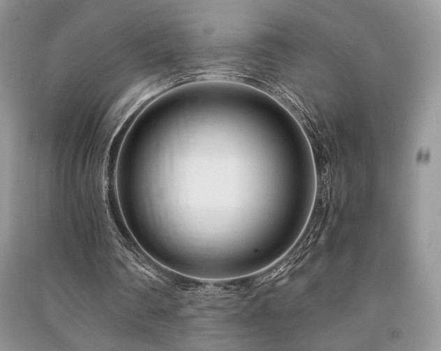 X0000091220290200708091414