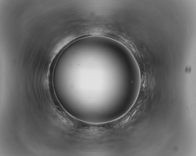 X0000091220292200708091414