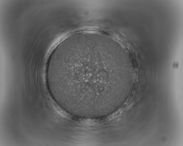 X0000091220293200708091414