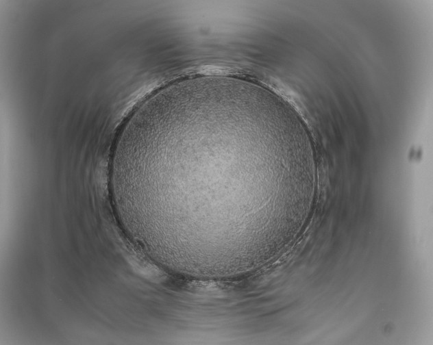 X0000091220297200708091414