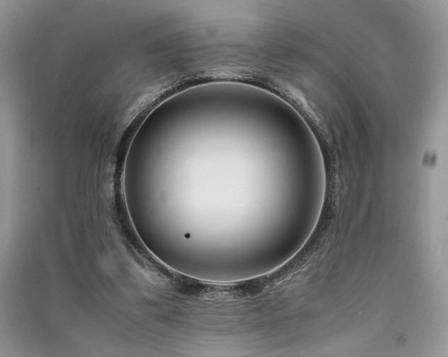 X0000091220299200708091414