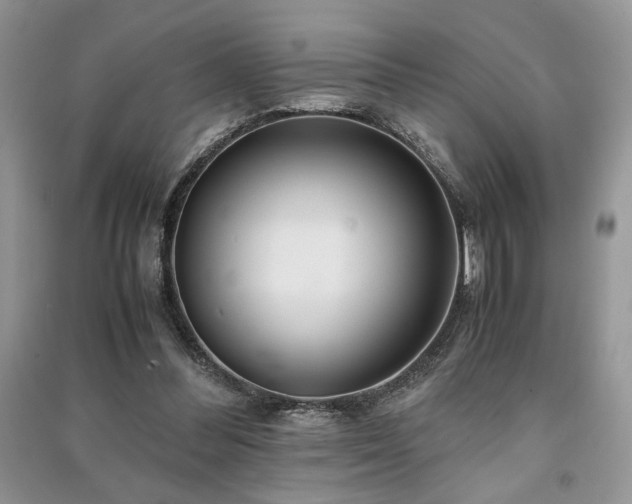 X0000091220300200708091414