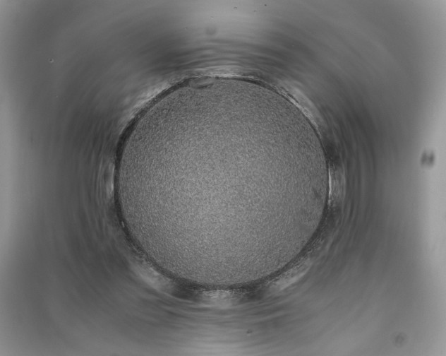 X0000091220301200708091414