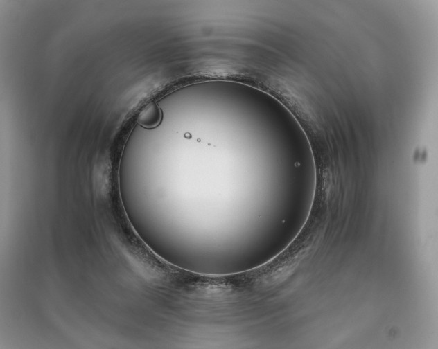 X0000091220304200708091414