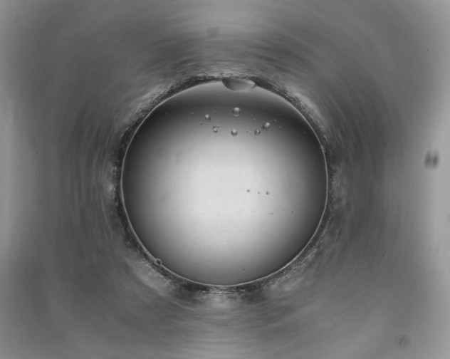 X0000091220305200708091414