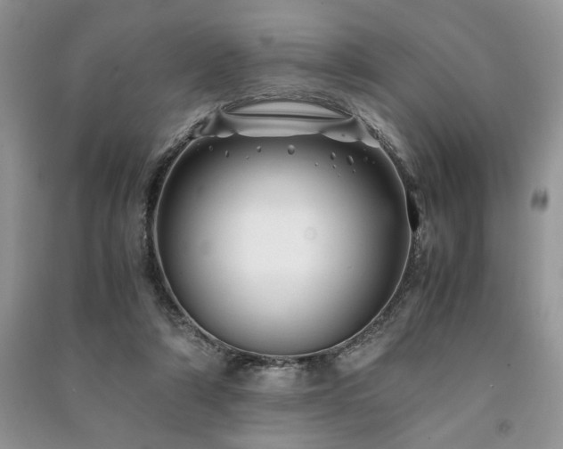 X0000091220306200708091414