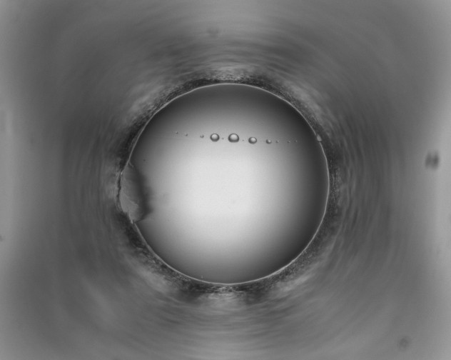 X0000091220307200708091414