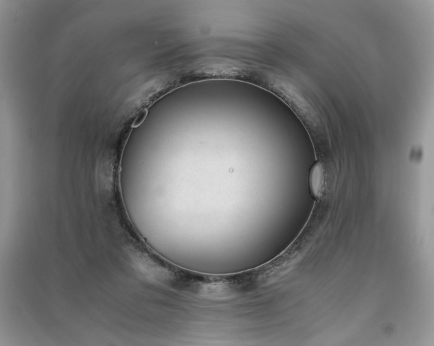 X0000091220309200708091414