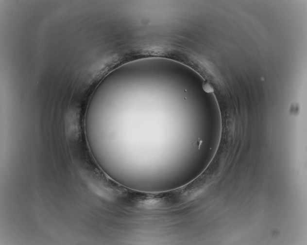 X0000091220312200708091414