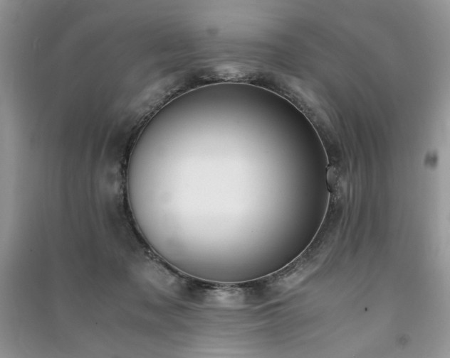 X0000091220317200708091414