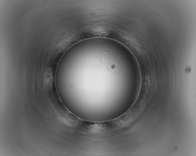 X0000091220320200708091414