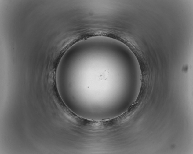 X0000091220325200708091414