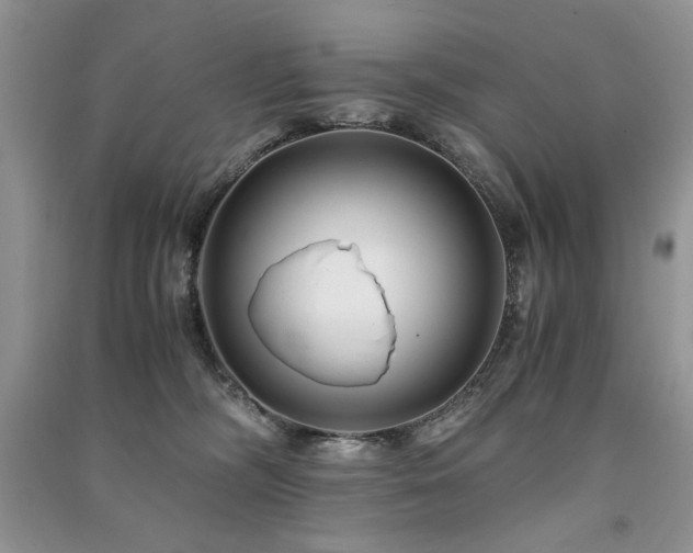 X0000091220326200708091414