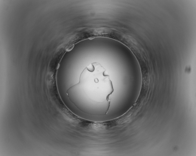 X0000091220327200708091414