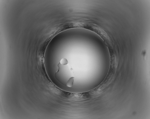 X0000091220329200708091414