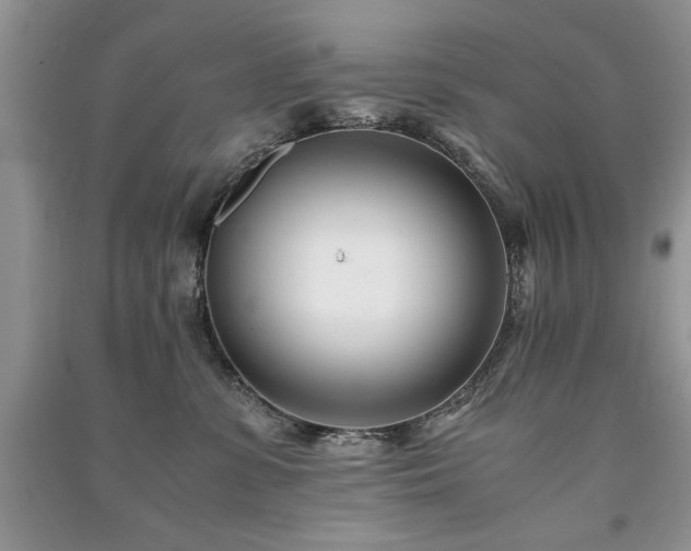 X0000091220331200708091414