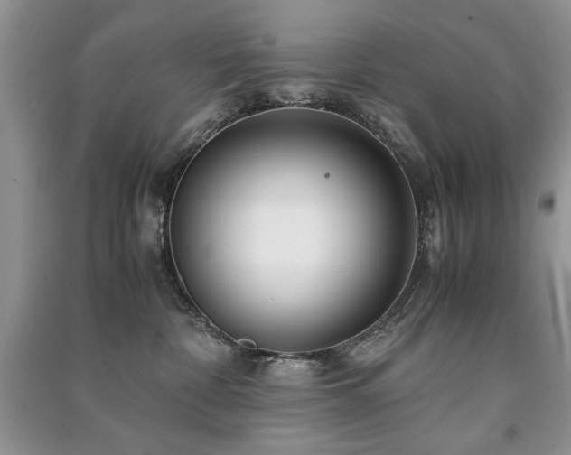 X0000091220332200708091414