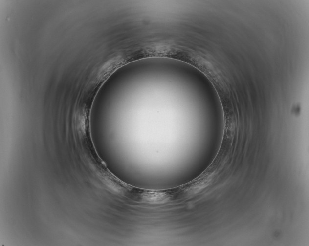 X0000091220334200708091414