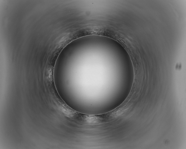 X0000091220336200708091414